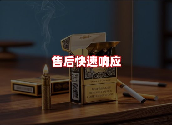专业团队